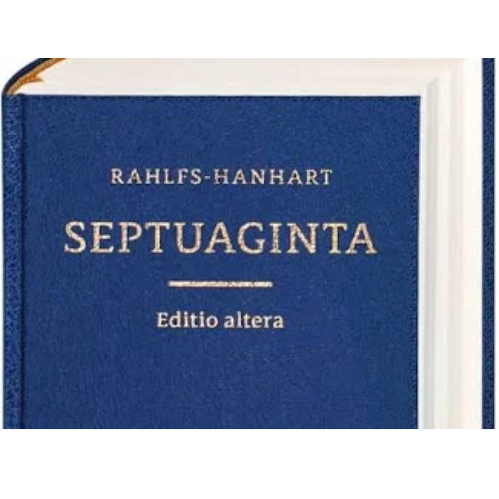 Design sem nome (12)