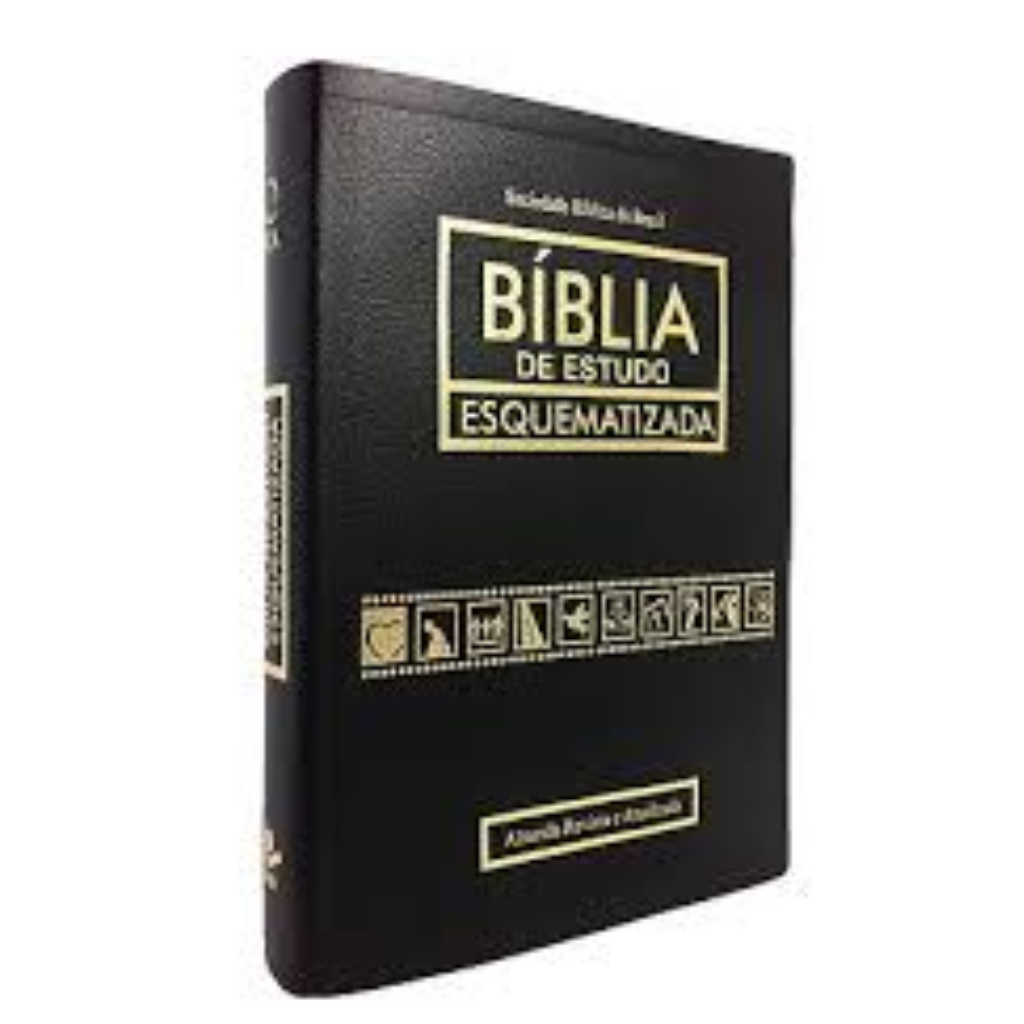 Design sem nome (19)