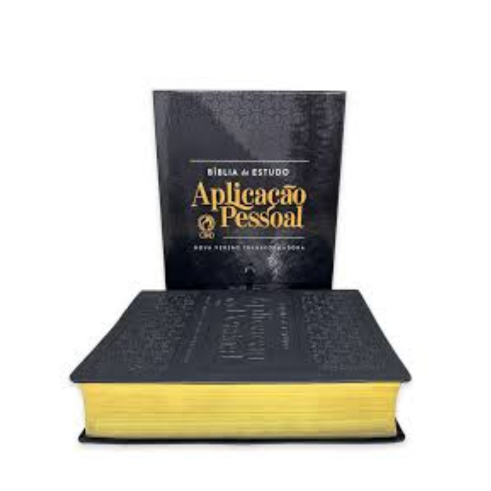 Design sem nome (25)